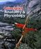 Seeley's Principles of Anatomy and Physiology - Chapter 13