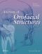 Anatomy of Orofacial Structures