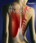 Anatomy and Physiology: The Unity of Form and Function