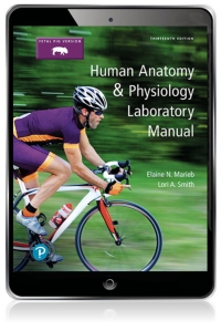 Human Anatomy Physiology Laboratory Manual Fetal Pig Version