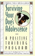 Surviving Your Dog's Adolescence: A Positive Training Program