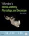 Wheeler's Dental Anatomy, Physiology and Occlusion