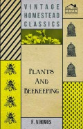 Plants And Beekeeping