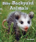 Baby Backyard Animals