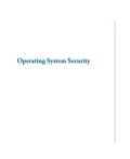 Operating System Security