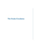 The Ocular Circulation