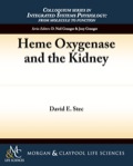 Heme Oxygenase And The Kidney
