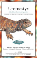 Uromastyx: Plus Other Common Agamids