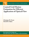 Control Grid Motion Estimation For Efficient Application Of Optical Flow