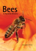 Bees: A Natural History
