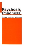 Psychosis (madness)