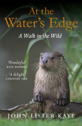 At The Water's Edge