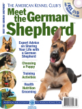 Meet The German Shepherd