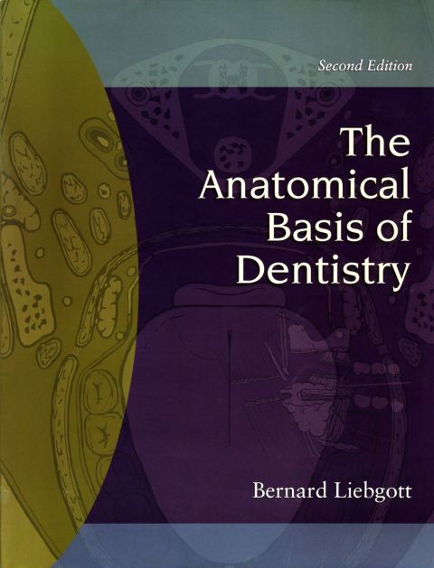 Cover image for book The Anatomical Basis of Dentistry