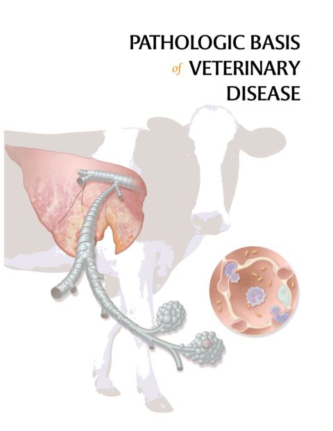 Cover image for book Pathologic Basis of Veterinary Disease