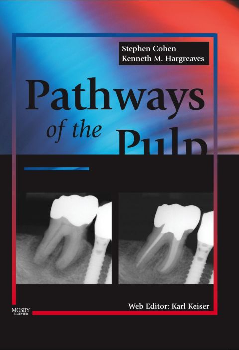 Cover image for book Pathways of the Pulp