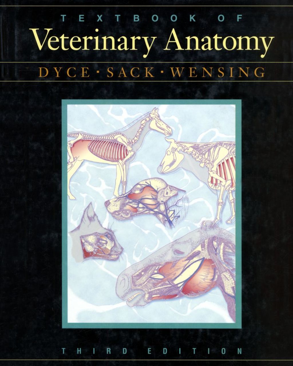 Reflowable Textbook of Veterinary Anatomy; $82.97