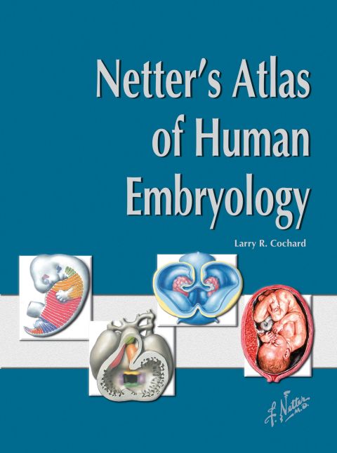 Cover image for book Netter's Atlas of Human Embryology