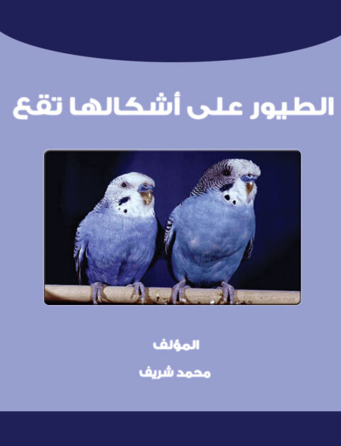 Cover image for book الطيور على أشكالها تقع