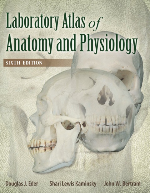 Cover image for book Laboratory Atlas of Anatomy & Physiology