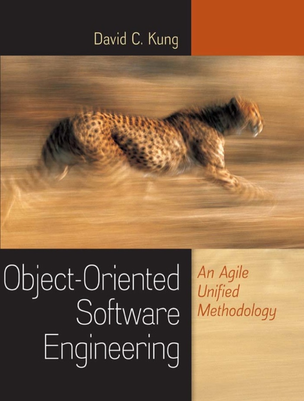 Object-Oriented Software Engineering: An Agile Unified Methodology - 1st Edition (eBook)