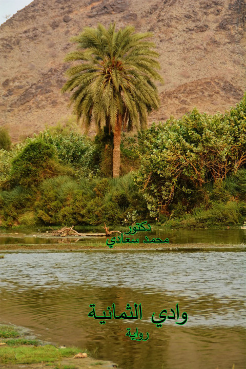 Cover image for book وادي الثمانيـة
