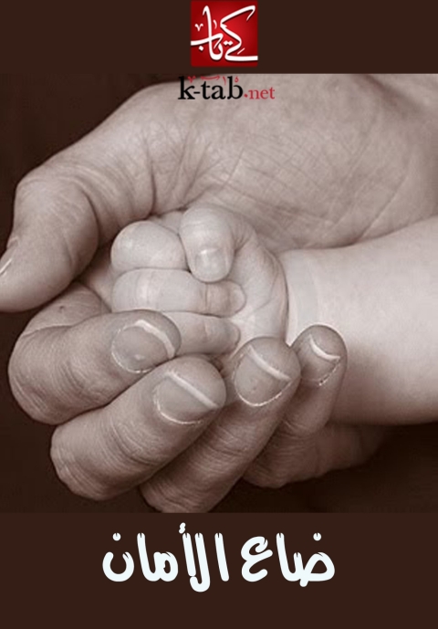 Cover image for book ضاع الأمان
