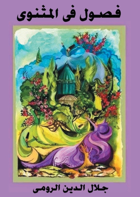 Cover image for book فصول من المثنوي