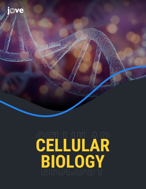 Cover image for book Cellular Biology for Appalachian State University