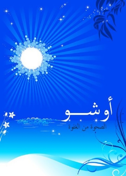Cover image for book الصحوة من الغفوة