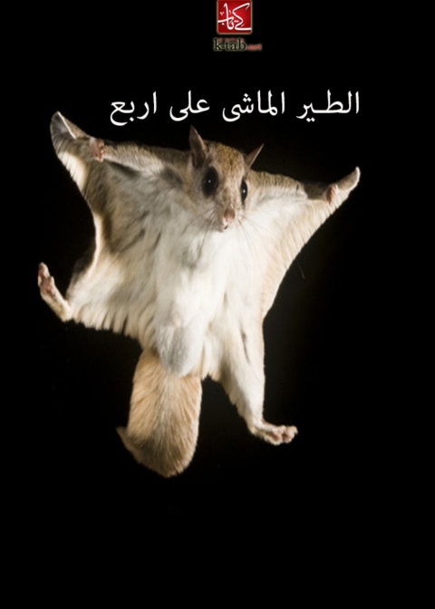 Cover image for book الطير الماشى على اربع