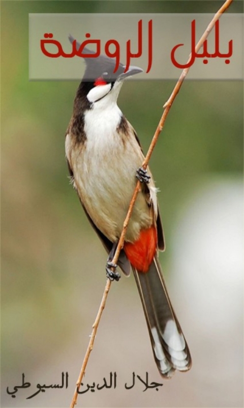 Cover image for book بلبل الروضة