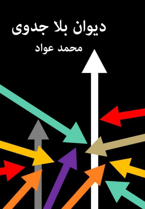 Cover image for book ديوان بلا جدوى