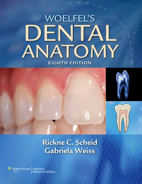 Cover image for book C001. Basic Tooth Terminology