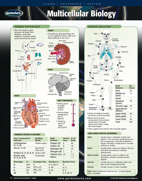 Cover image for book Multicellular Biology Chart - Biology Quick Reference Guide