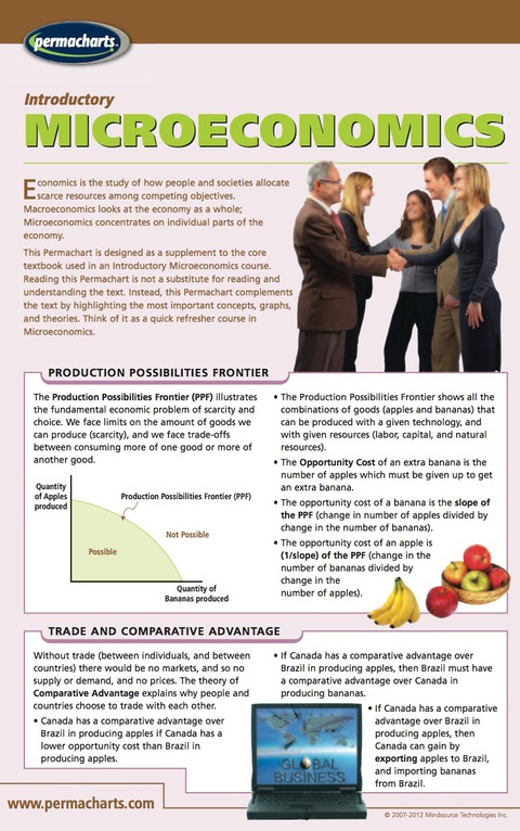 Cover image for book Introductory Microeconomics Chart - Ecomonics Quick Reference Guide