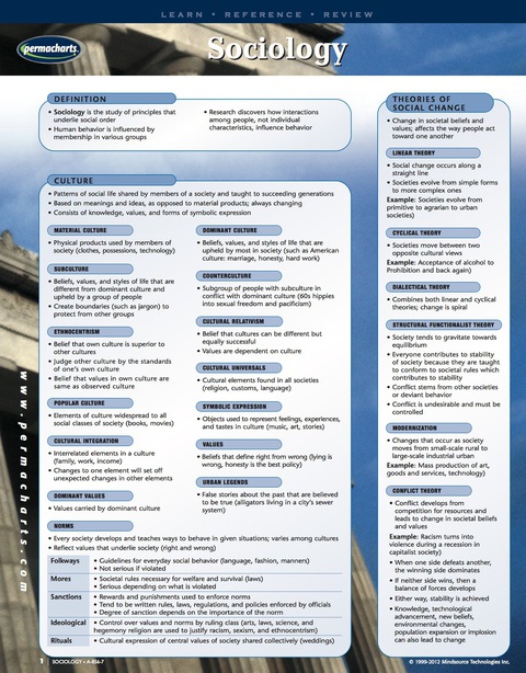 Cover image for book Sociology Guide - Social Studies Quick Reference Guide