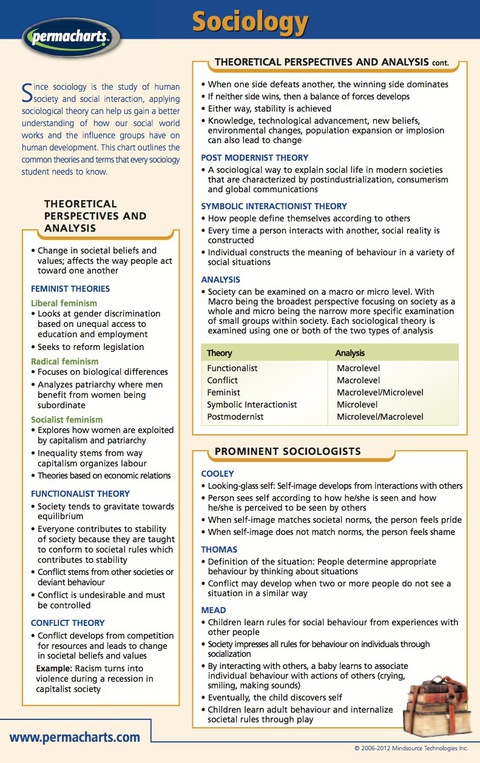 Cover image for book Sociology Guide - Social Studies Quick Reference Guide