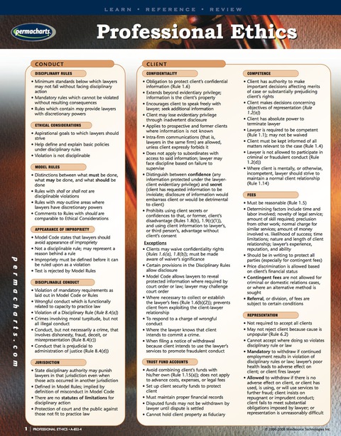 Cover image for book Professional Ethics Guide - Business Productivity Quick Reference Guide