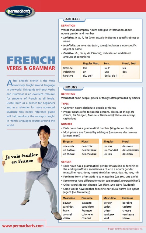Cover image for book French Verbs & Grammar Guide - Language Quick Reference Guide