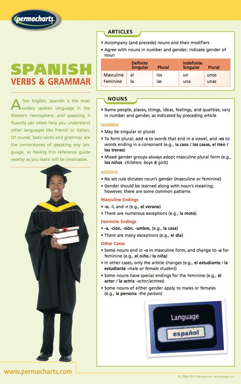 Cover image for book Spanish Verbs & Grammar Chart - Language Quick Reference Guide