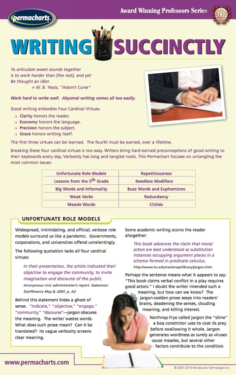 Cover image for book Writing Succinctly - Business Quick Reference Guide