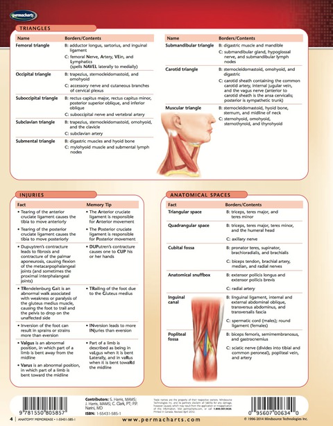 Cover image for book Anatomy MemorEase Chart - Medicine and Anatomy - Nursing Quick Reference Guide