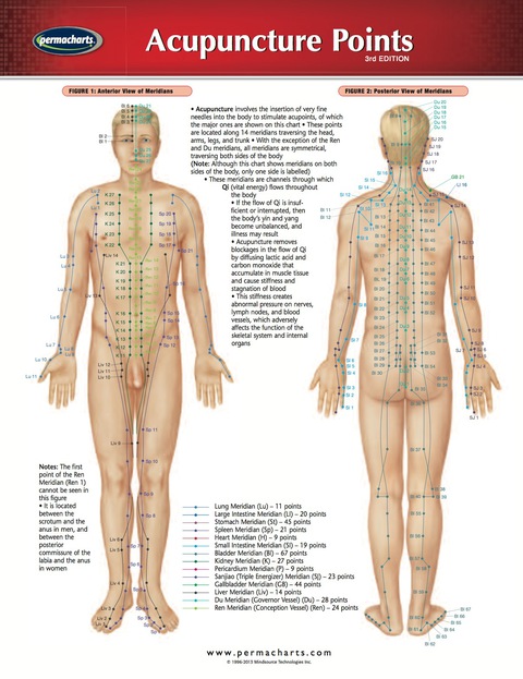 Cover image for book Acupuncture Points Chart- Medical Quick Reference Guide