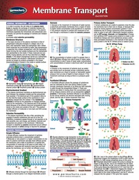 Membrane Transport Chart - Medicine and Anatomy Nursing Quick Reference ...