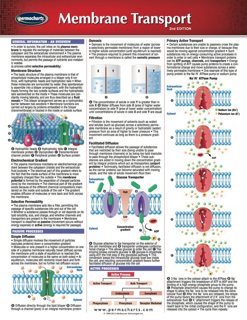 Cover image for book Membrane Transport Chart - Medicine and Anatomy Nursing Quick Reference Guide