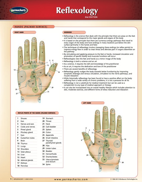 Cover image for book Reflexology Chart - Medical Quick Reference Guide