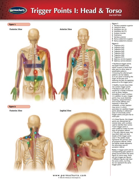 Cover image for book Trigger Points I: Head & Torso Chart - Acupunture - Medicine Quick Reference Guide