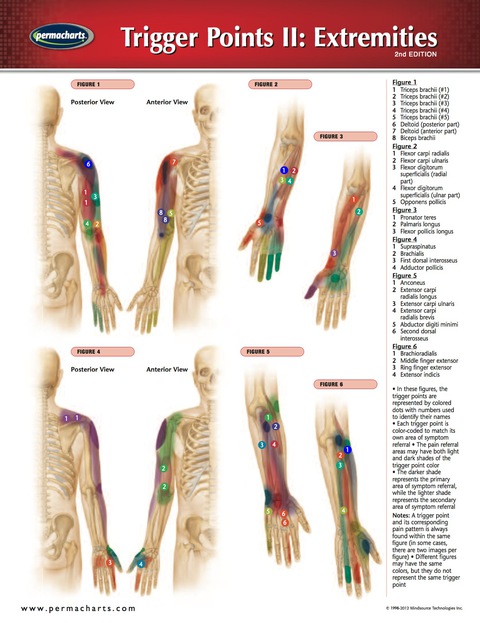 Cover image for book Trigger Points II: Extremities Chart - Acupunture - Medicine Quick Reference Guide