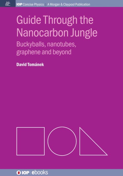 Cover image for book Guide Through the Nanocarbon Jungle